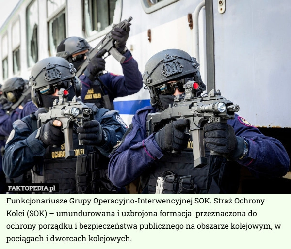 Funkcjonariusze Grupy Operacyjno-Interwencyjnej SOK. Straż Ochrony Kolei