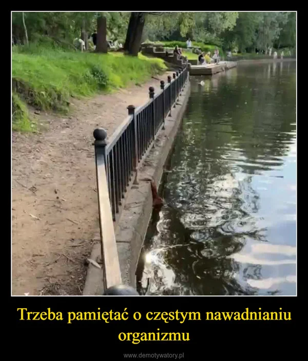 
    Trzeba pamiętać o częstym nawadnianiu organizmu