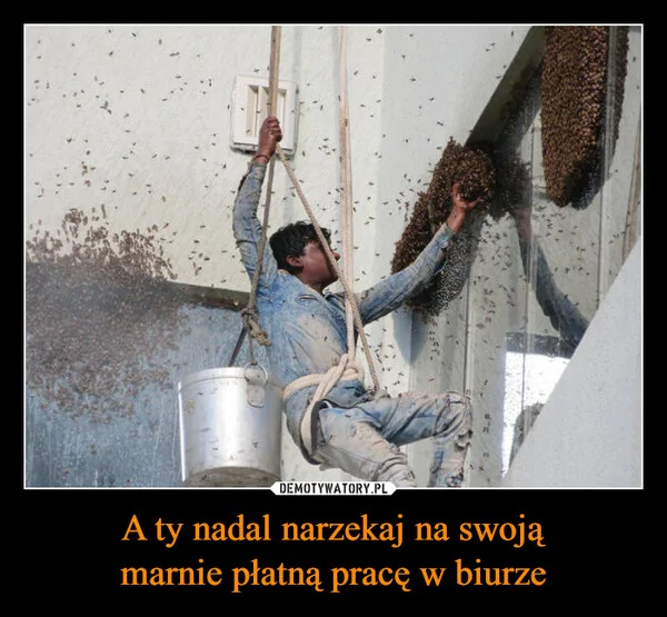 A ty nadal narzekaj na swoją marnie płatną pracę w biurze