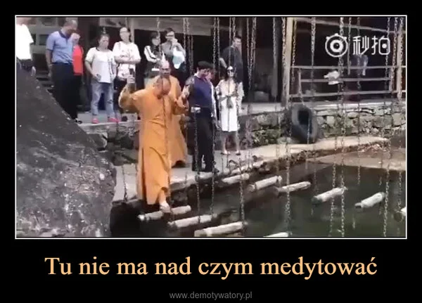 Tu nie ma nad czym medytować