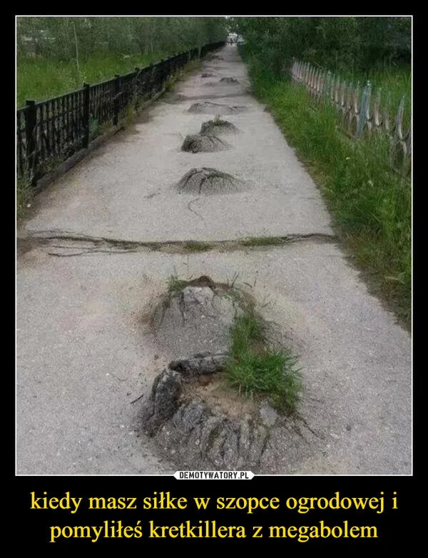 kiedy masz siłke w szopce ogrodowej i pomyliłeś kretkillera z megabolem