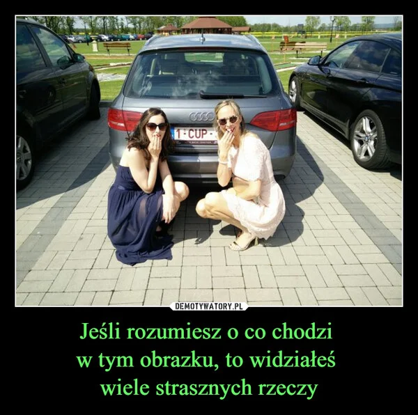 Jeśli rozumiesz o co chodzi w tym obrazku, to widziałeś wiele strasznych rzeczy