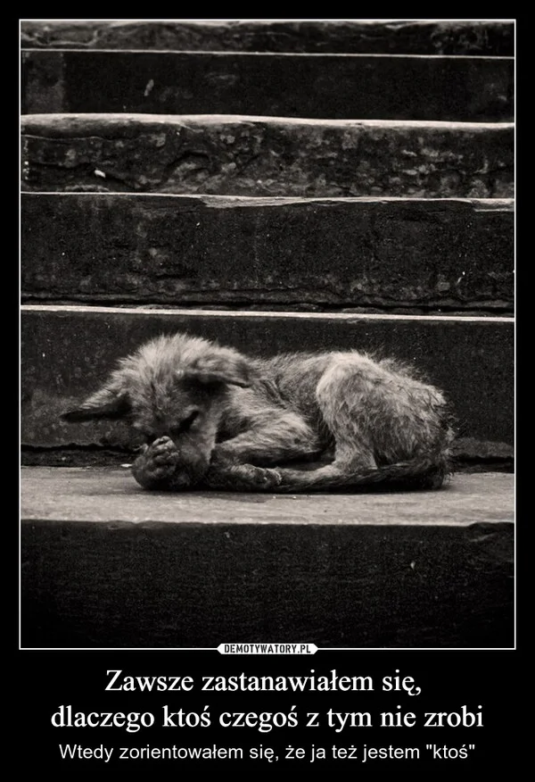 Zawsze zastanawiałem się, dlaczego ktoś czegoś z tym nie zrobi