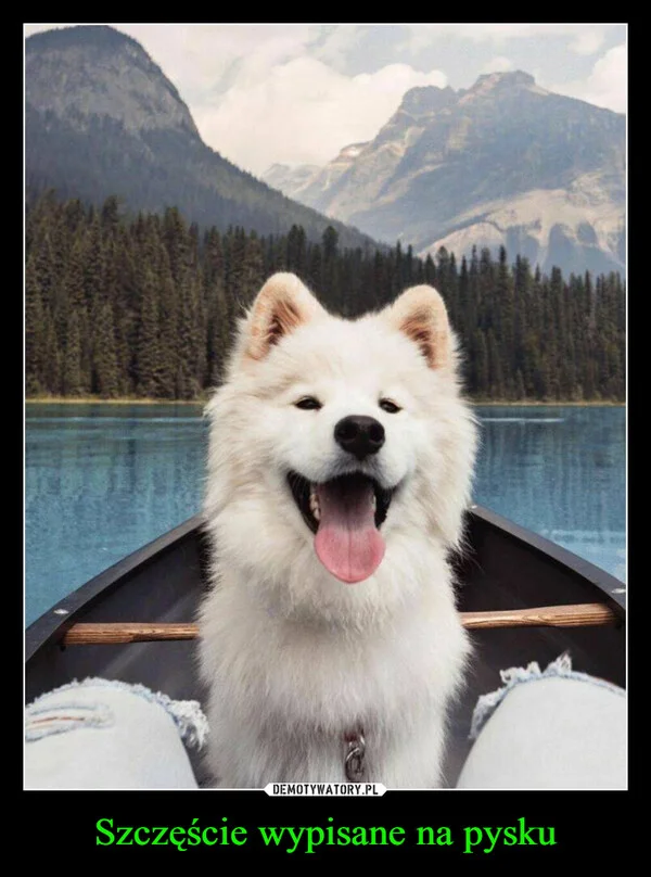 Szczęście wypisane na pysku