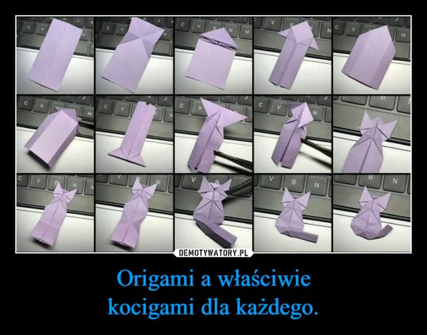 Origami a właściwie kocigami dla każdego.