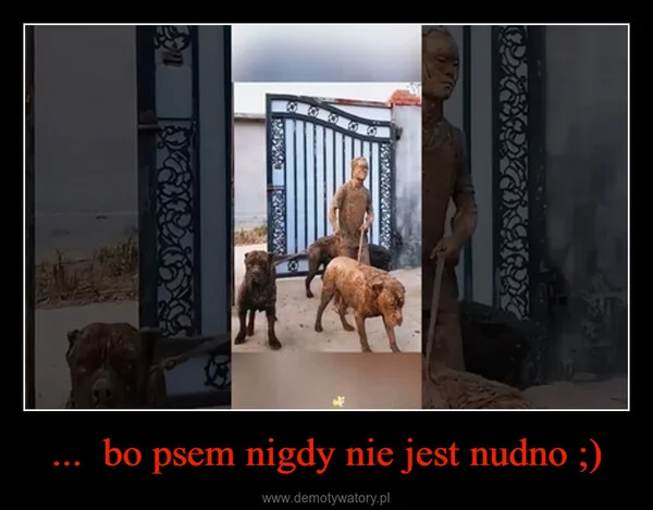 ... bo psem nigdy nie jest nudno ;)