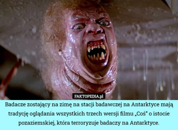 Badacze zostający na zimę na stacji badawczej na Antarktyce mają tradycję