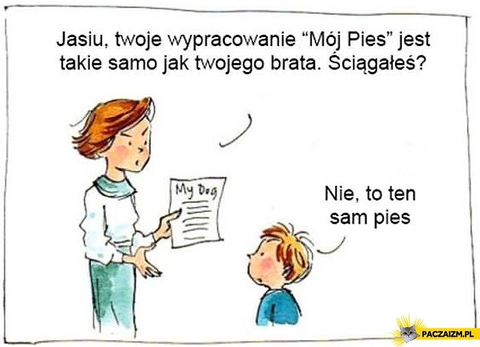 Wypracowanie ten sam pies