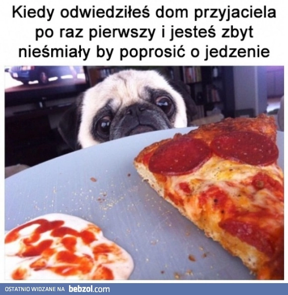 Nieśmiały