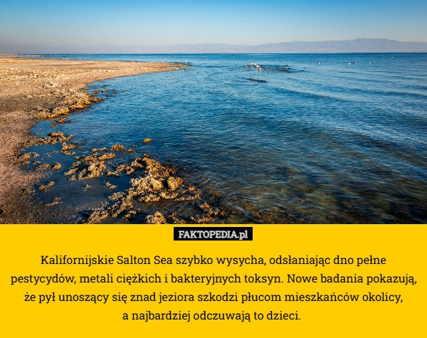Kalifornijskie Salton Sea szybko wysycha, odsłaniając dno pełne pestycydów,