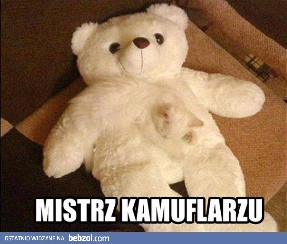 Mistrz kamuflażu