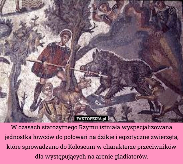 
    W czasach starożytnego Rzymu istniała wyspecjalizowana jednostka łowców