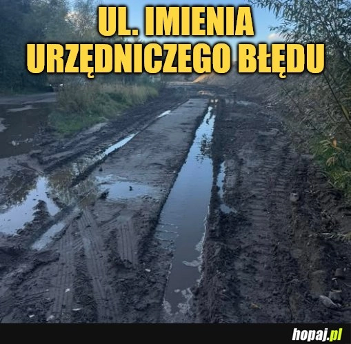 Prezydent miał otworzyć ulicę, której nie ma. Urzędnicza wpadka w Gdańsku.