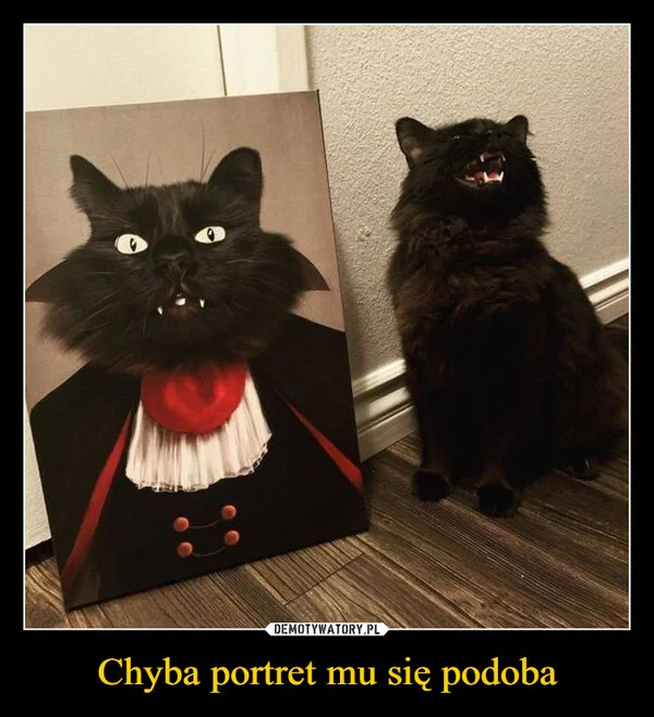 
    Chyba portret mu się podoba