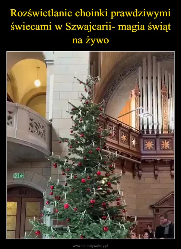 Rozświetlanie choinki prawdziwymi świecami w Szwajcarii- magia świąt na żywo