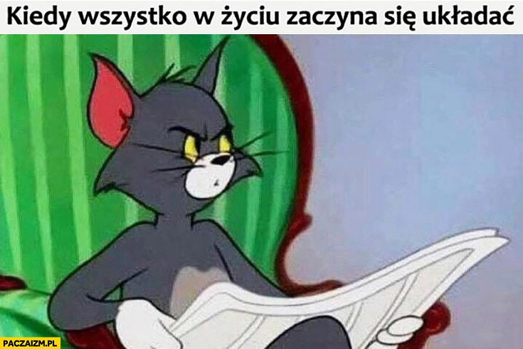 Kiedy wszystko w życiu zaczyna się układać zdziwiony kot Tom