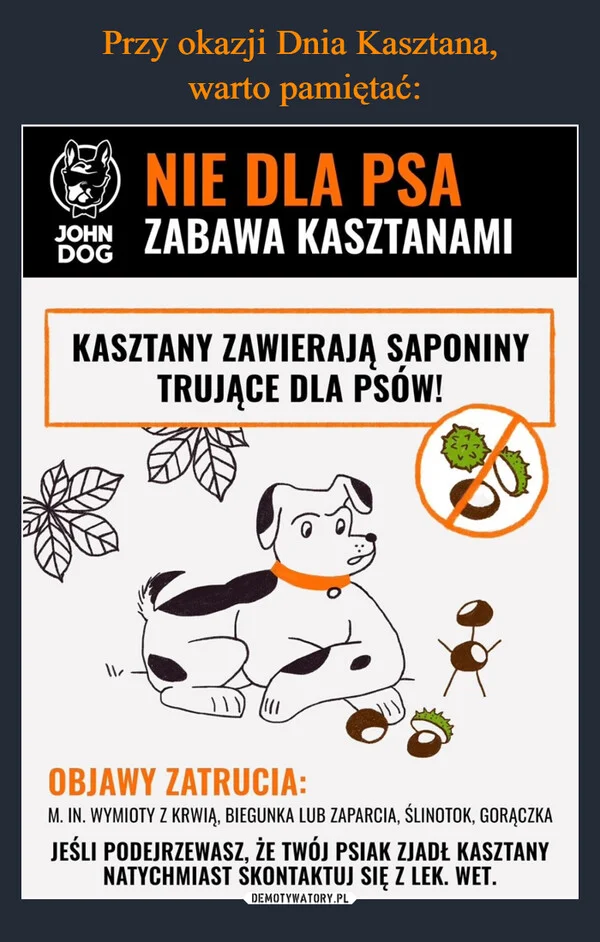 Przy okazji Dnia Kasztana, warto pamiętać: