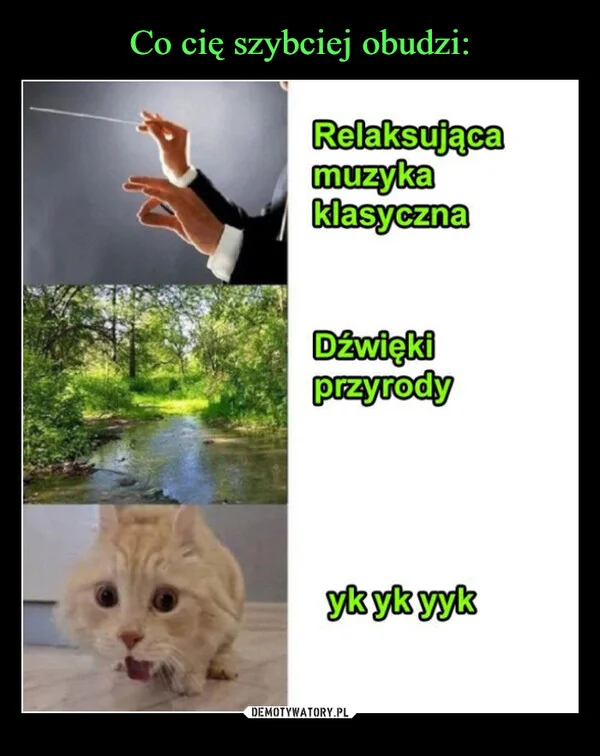 Co cię szybciej obudzi: