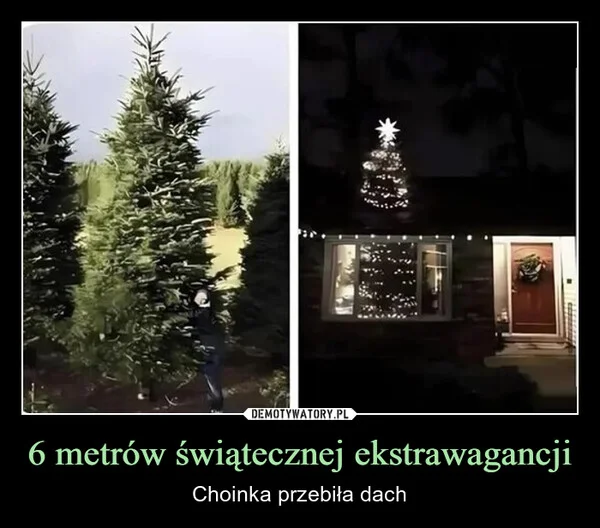 6 metrów świątecznej ekstrawagancji