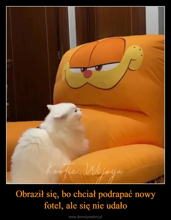 Obraził się, bo chciał podrapać nowy fotel, ale się nie udało