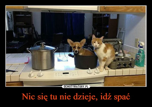 Nic się tu nie dzieje, idź spać