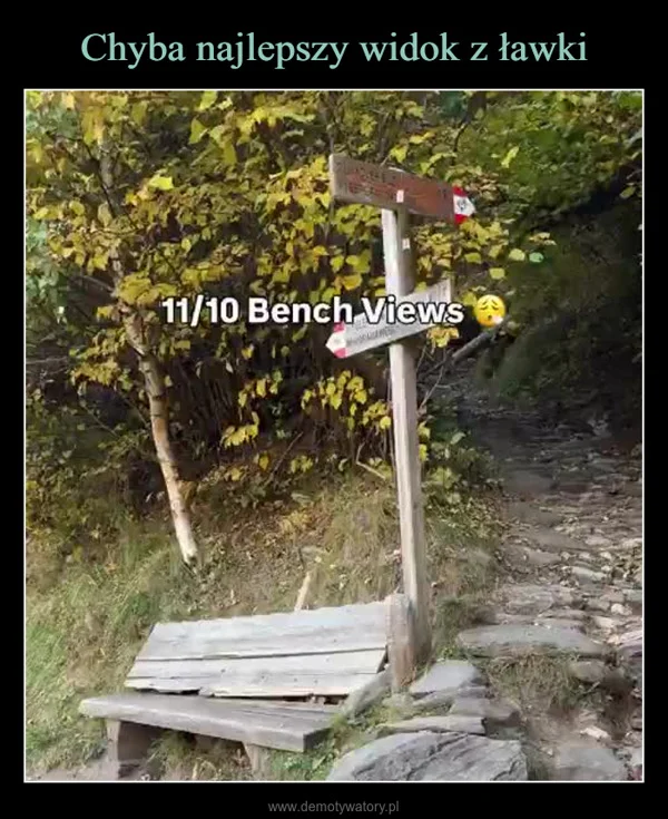 Chyba najlepszy widok z ławki