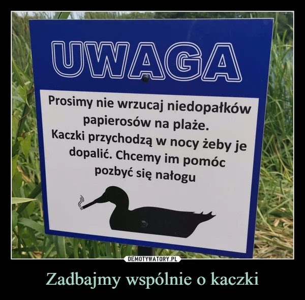 
    Zadbajmy wspólnie o kaczki