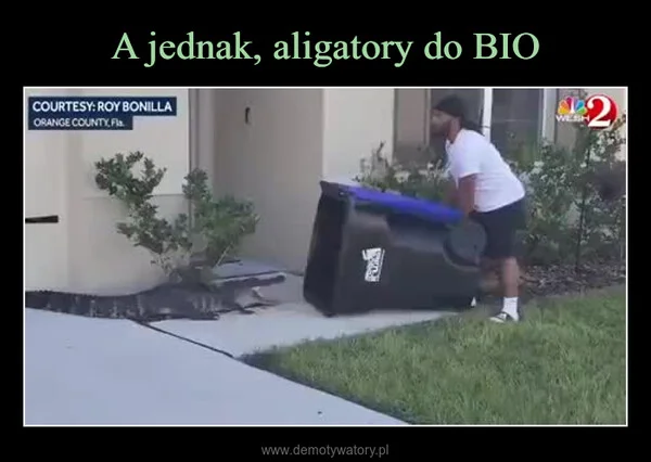 A jednak, aligatory do BIO