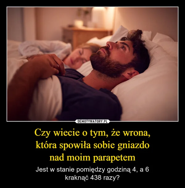 Czy wiecie o tym, że wrona, która spowiła sobie gniazdo nad moim parapetem