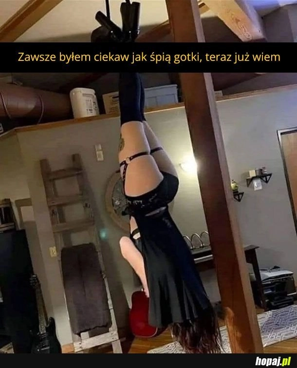 
    Śpiąca gotka