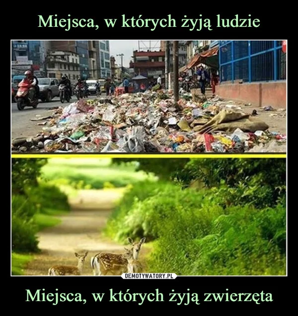 Miejsca, w których żyją ludzie Miejsca, w których żyją zwierzęta