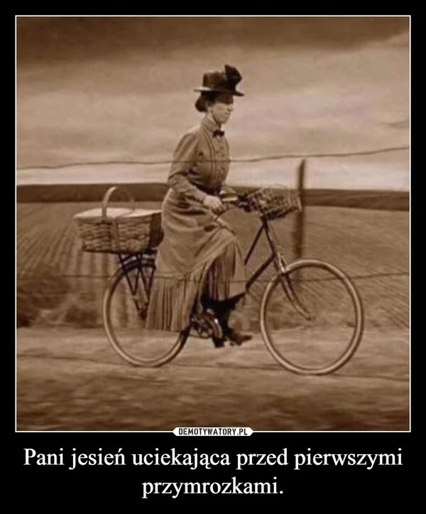 Pani jesień uciekająca przed pierwszymi przymrozkami.