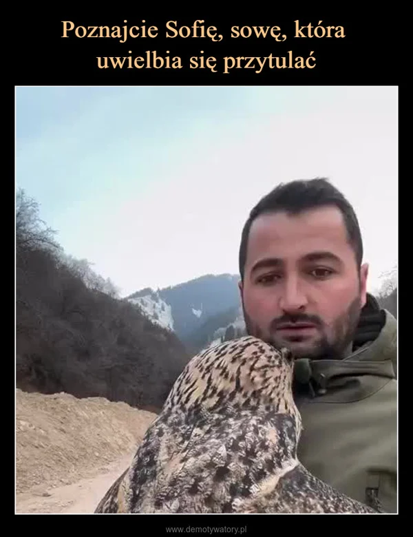 Poznajcie Sofię, sowę, która uwielbia się przytulać