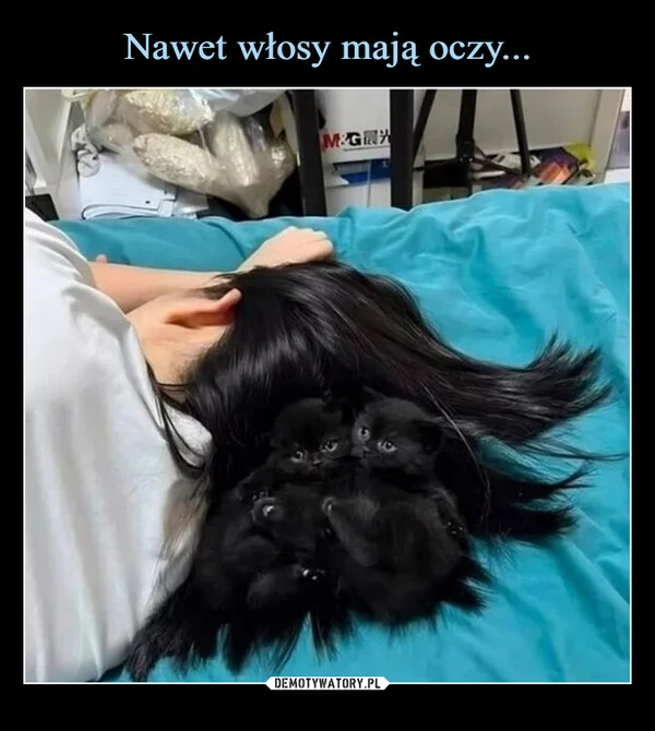 
    Nawet włosy mają oczy...
