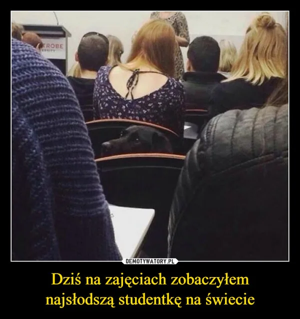 Dziś na zajęciach zobaczyłem najsłodszą studentkę na świecie