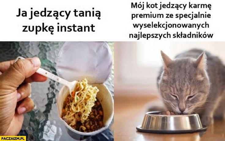 Ja jedzący tanią zupkę instant vs mój kot jedzący karmę premium z najlepszych składników