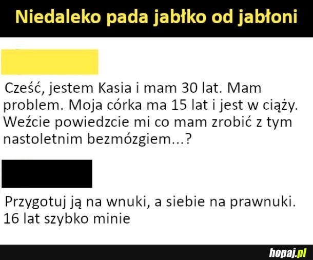 
    Niedaleko pada jabłko od jabłoni