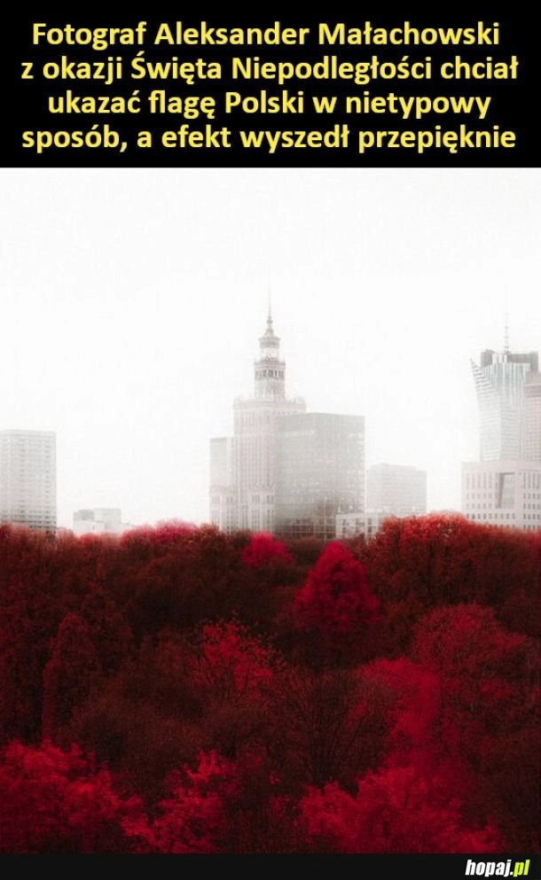 Fotograf Aleksander Małachowski z okazji Święta Niepodległości chciał ukazać flagę Polski w nietypowy sposób