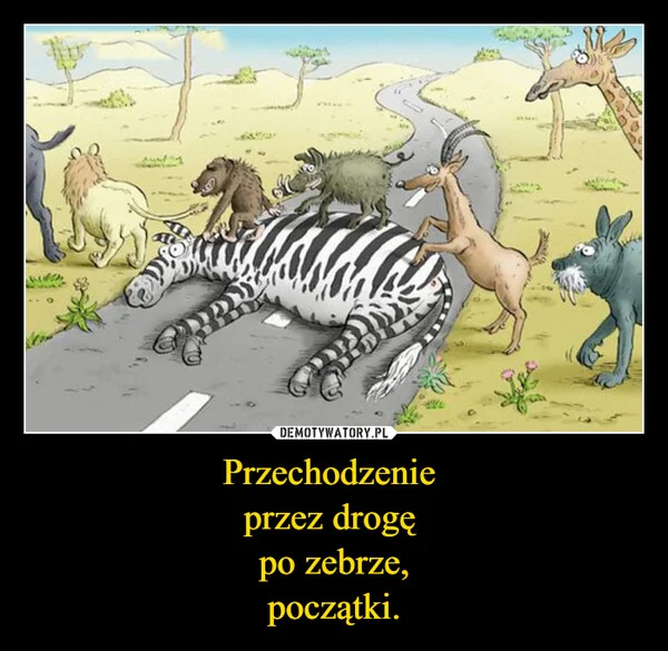 Przechodzenie przez drogę po zebrze, początki.