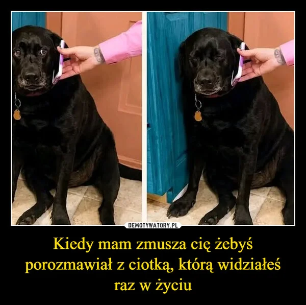 
    Kiedy mam zmusza cię żebyś porozmawiał z ciotką, którą widziałeś raz w życiu