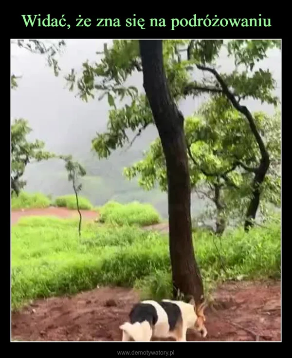 
    Widać, że zna się na podróżowaniu