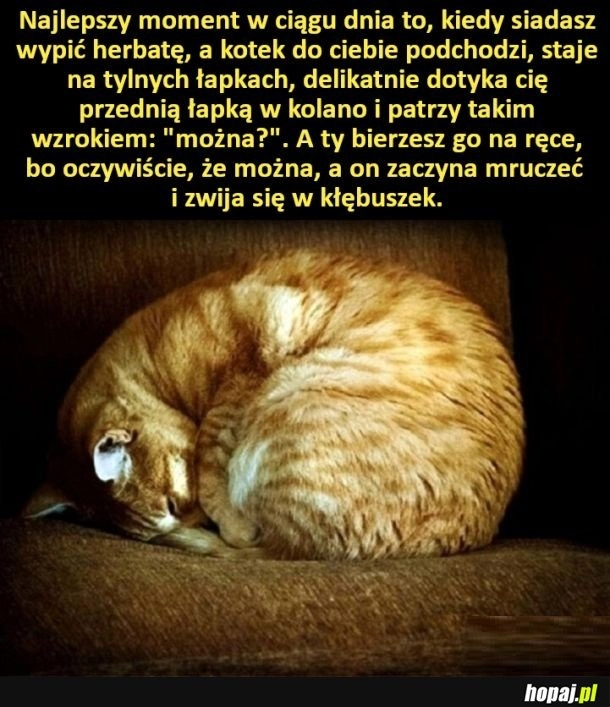 
    Najlepszy moment w ciągu dnia