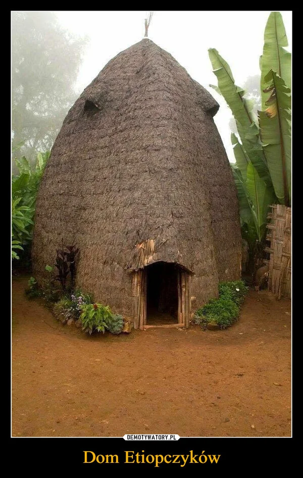 
    Dom Etiopczyków
