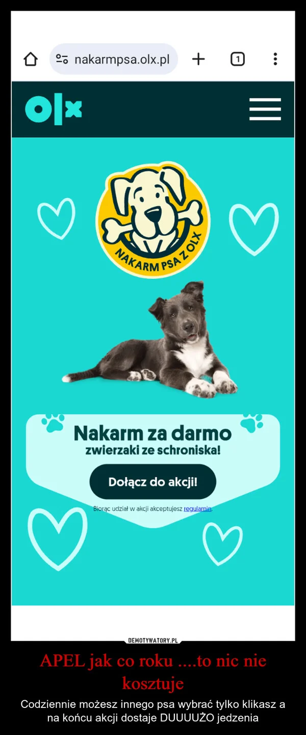 APEL jak co roku ....to nic nie kosztuje