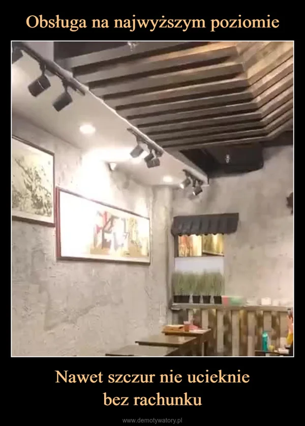 Obsługa na najwyższym poziomie Nawet szczur nie ucieknie bez rachunku