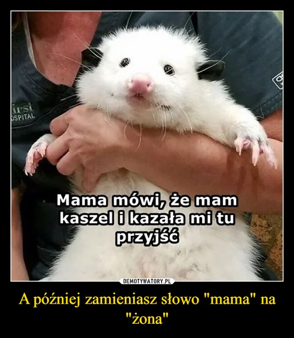 A później zamieniasz słowo 