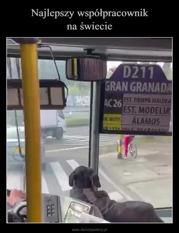 Najlepszy współpracownik na świecie