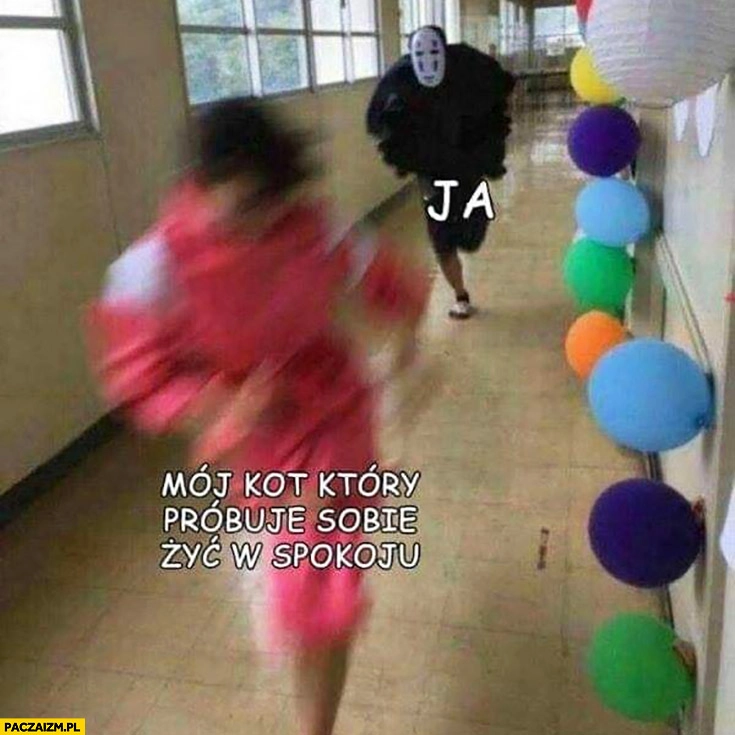 Ja vs mój kot który próbuje sobie żyć w spokoju goni go