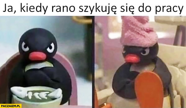 Ja kiedy rano szykuje się do pracy pingwin pingwinek