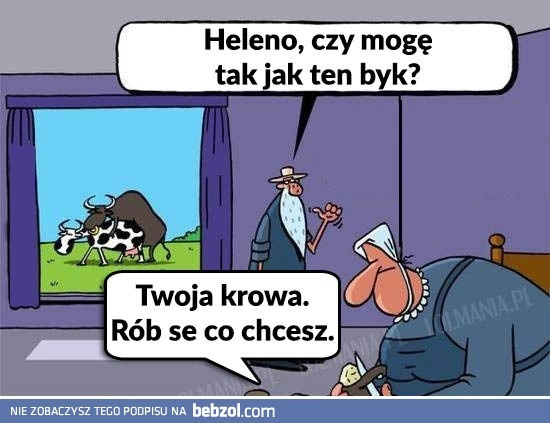 Najlepsza riposta
